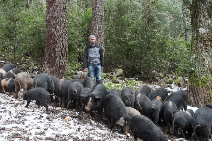 www.charcuterie-corse.co-2